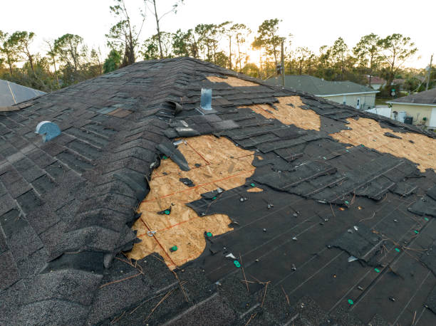 Best Roof Insulation Installation  in Dawson, TX